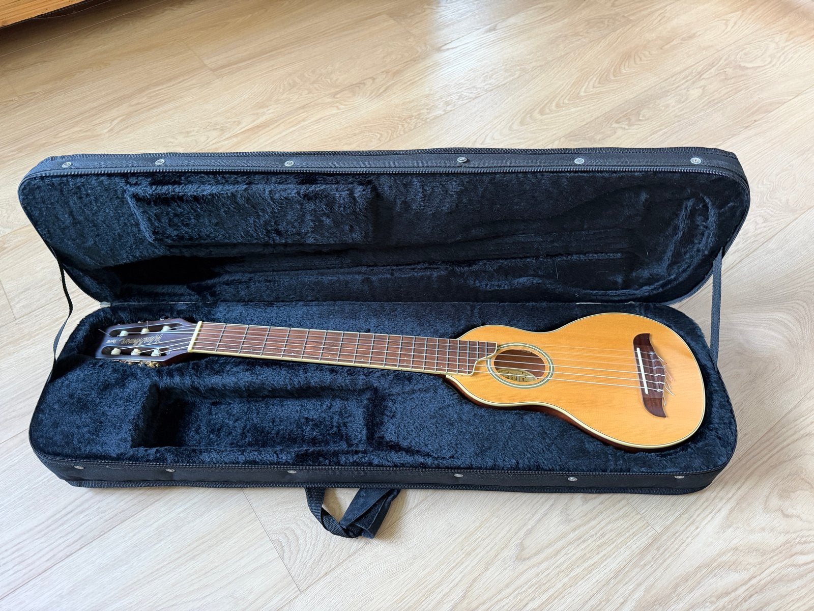 Washburn Rover RO20 Reisgitaar in originele Koffer, Muziek en Instrumenten, Snaarinstrumenten | Gitaren | Akoestisch, Ophalen of Verzenden