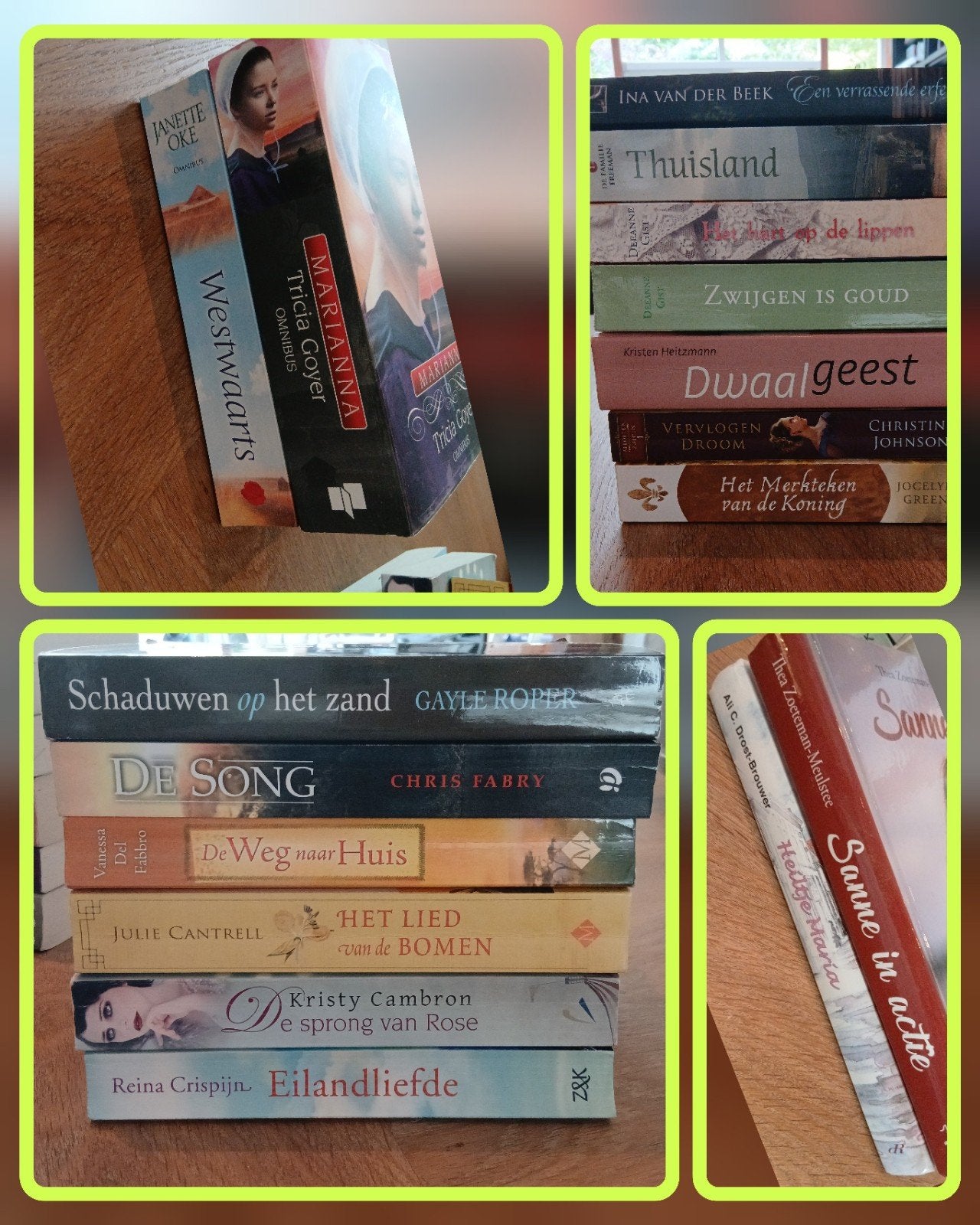 Diverse boeken van verschillende schrijvers, Boeken, Ophalen of Verzenden, Gelezen