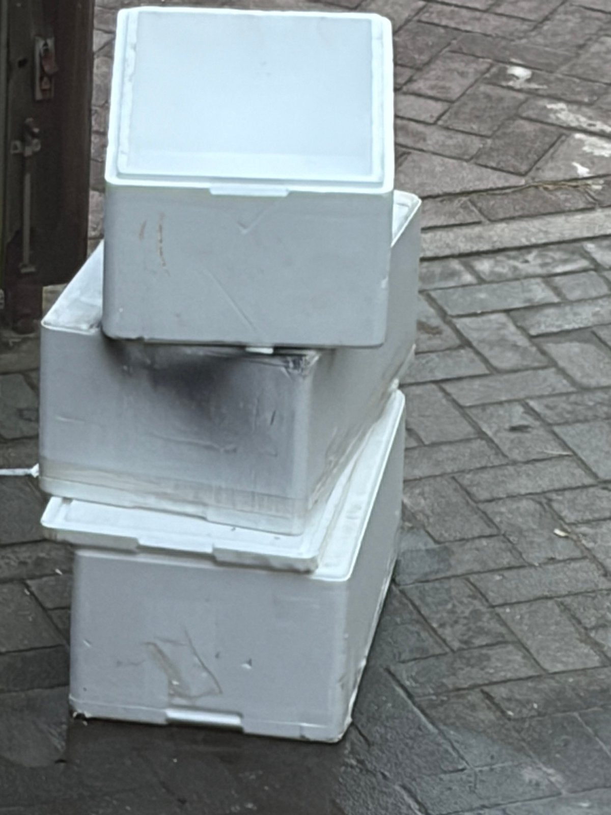 Piepschuim koel dozen, Doe-het-zelf en Verbouw, Ophalen, Zo goed als nieuw, Doos, Minder dan 35 cm