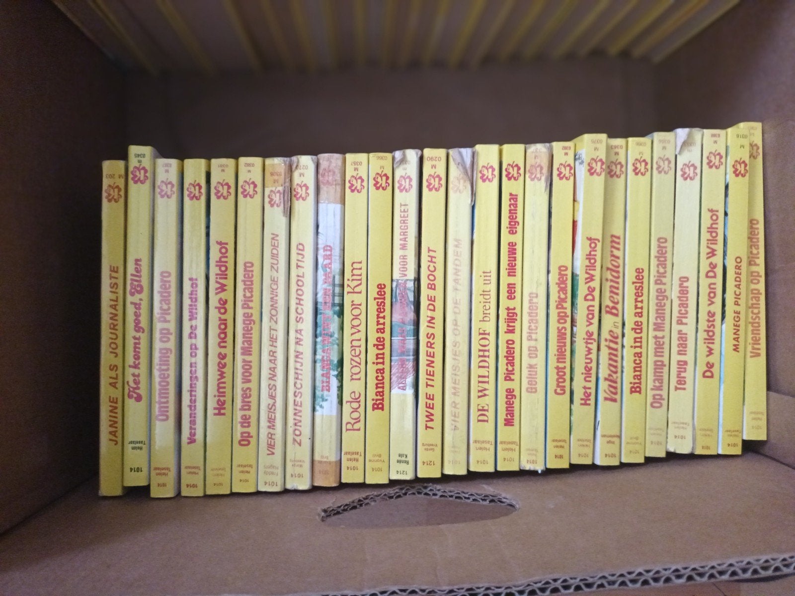 Partij collectie jeugdboeken: Manege Picadero & meer, Diversen, Ophalen of Verzenden