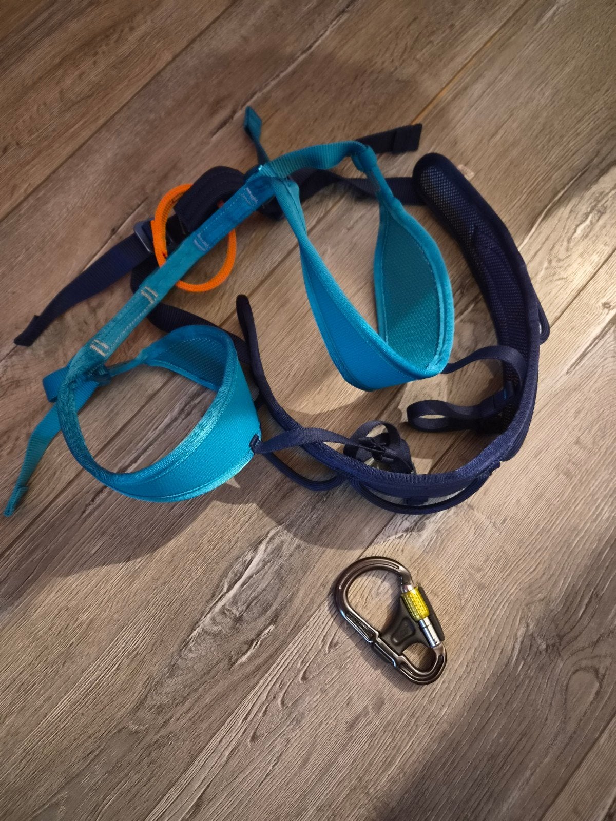 klimgordel en karabijnhaak, Ophalen of Verzenden, Klimsport-accessoire