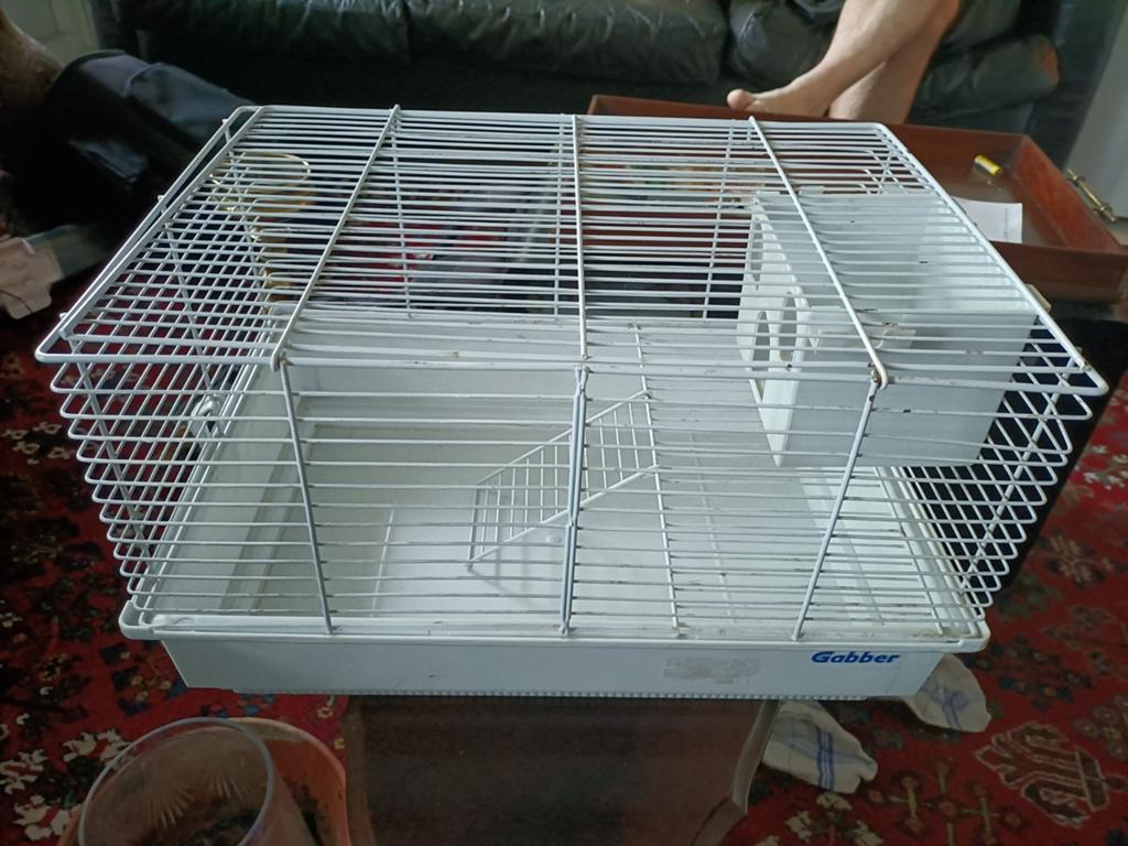Gabber kooi voor kleine dieren, Dieren en Toebehoren, Knaagdieren en Konijnen | Hokken en Kooien, Ophalen of Verzenden, Minder dan 75 cm