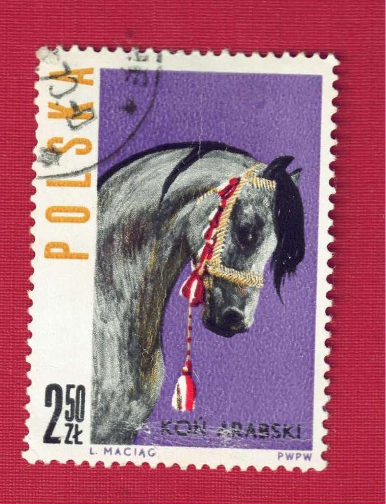 Fauna - Dieren - Paarden - Polen - 2.50 Zt - Kon Arabski, Ophalen of Verzenden, Gestempeld, Dier of Natuur