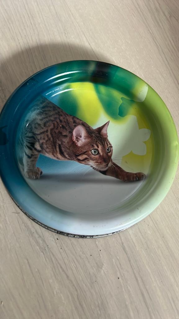 Lruke royal canin etens bakje voor katten, Ophalen of Verzenden, Gebruikt