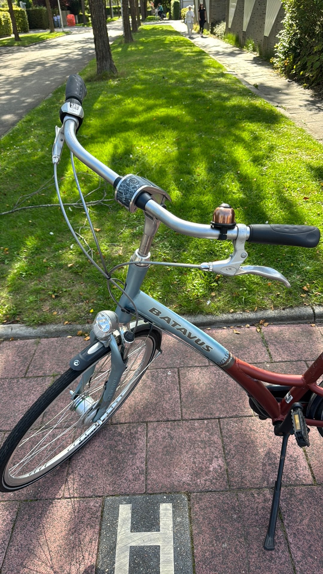 Foto 4 van Batavus Damesfiets - 61 cm