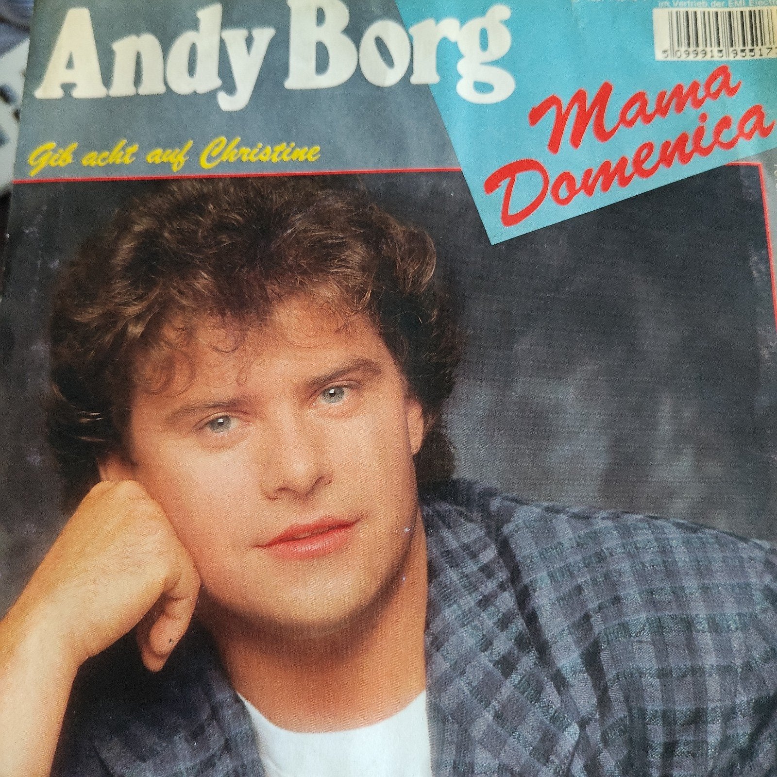 Andy Borg - Mama Domenica / Gib acht auf Christine Single, Ophalen of Verzenden, Gebruikt, 7 inch, Schlager