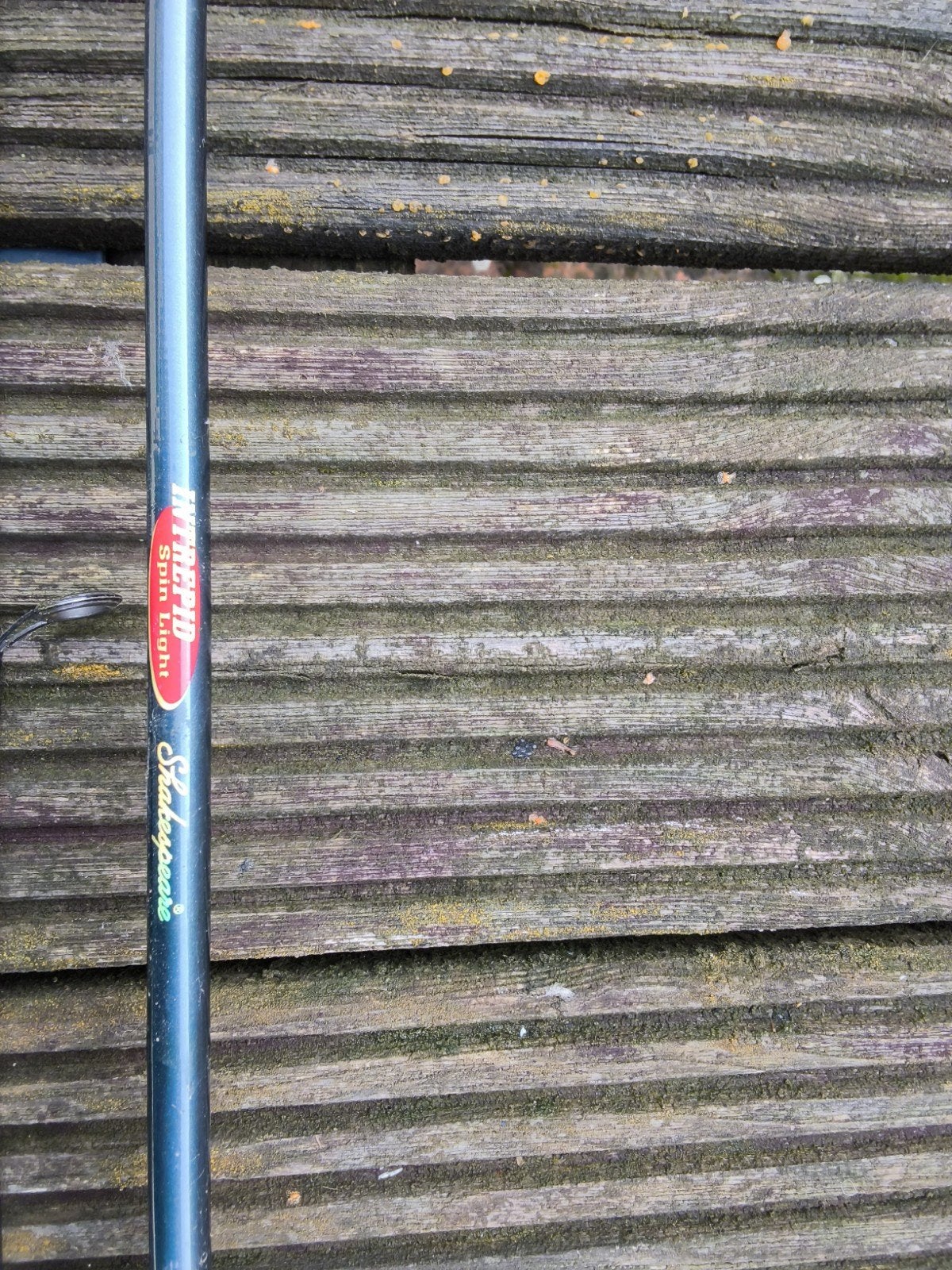Shakespeare Intrepid Spin Light Werphengel, Watersport en Boten, Ophalen, Gebruikt, Werphengel