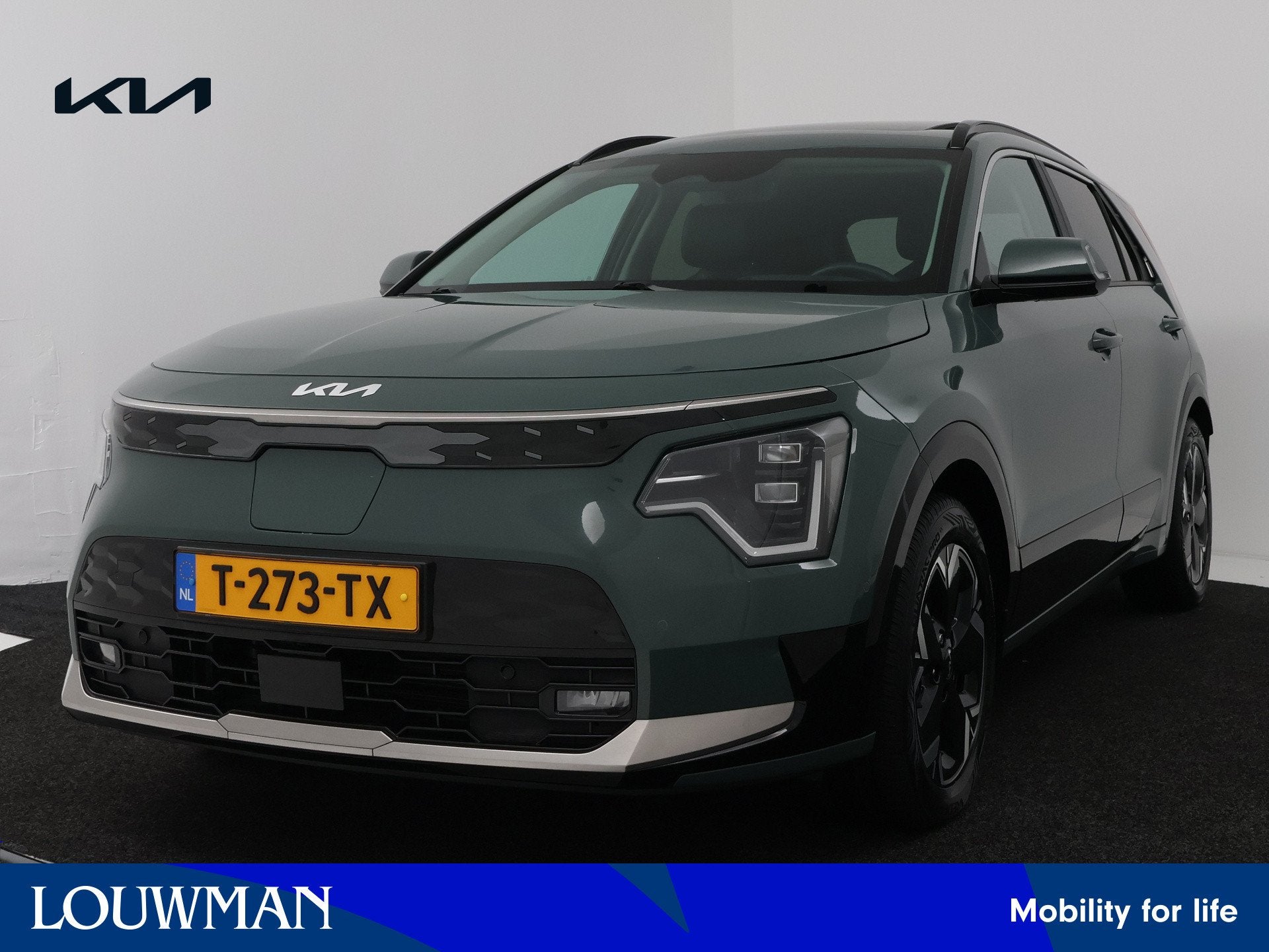 Kia Niro EV ExecutiveLine 64.8 kWh | Trekhaak | (bj 2023)