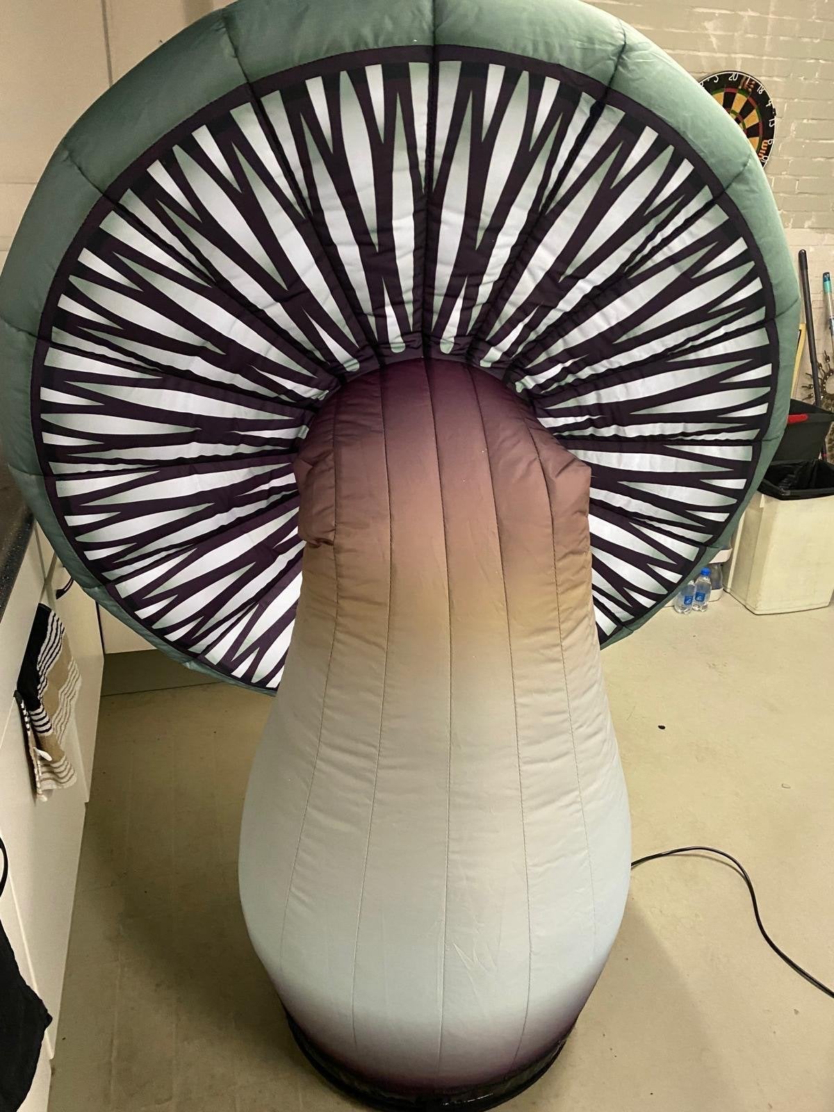 Opblaasbare Paddenstoel met Verlichting, Fantasie, Overige typen, Meerkleurig, Ophalen of Verzenden