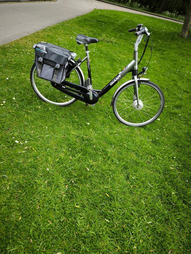Giant elektrische fiets met fietstassen, Fietsen en Brommers, Ophalen of Verzenden, Gebruikt, Giant