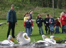 30% korting ZooParc in Overloon (max. 5 personen), Drie personen of meer, Kortingskaart
