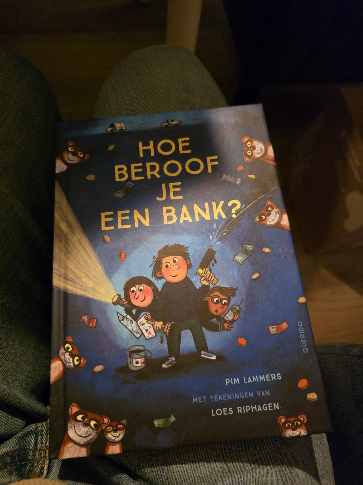 hoe beroof je een bank, Ophalen of Verzenden, Zo goed als nieuw, Pim Lammers