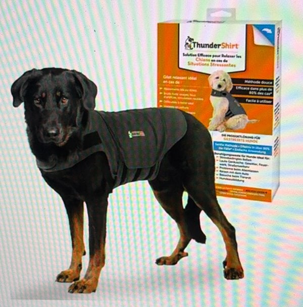ThunderShirt Anti-stress, kalmerend, relaxvest voor hond, Dieren en Toebehoren, Ophalen of Verzenden, Zo goed als nieuw
