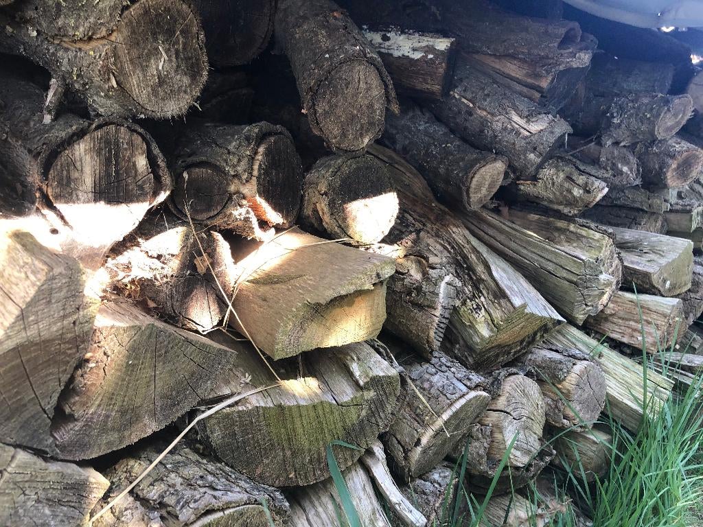 open haardhout eiken, 3 tot 6 m³, Ophalen, Eikenhout