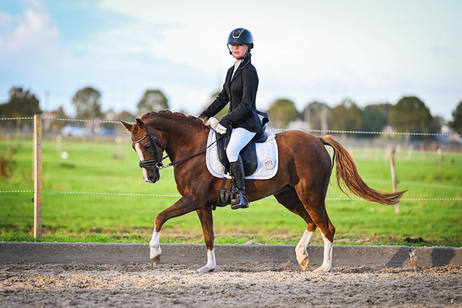 🐴Prachtige 6-jarige stamboek New Forest merrie😍📏1.35☘️, Merrie, 3 tot 6 jaar, C pony (1.27m tot 1.37m), Met stamboom