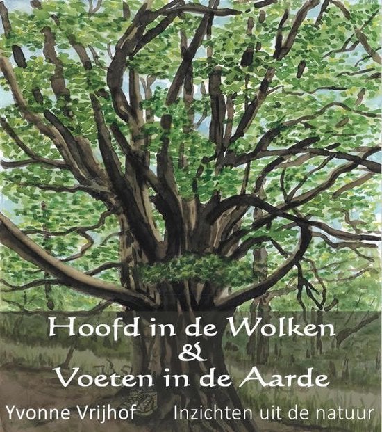 Yvonne Vrijhof Hoofd in de Wolken en Voeten in de Aarde, Ophalen of Verzenden, Nieuw, Spiritualiteit algemeen, Achtergrond en Informatie