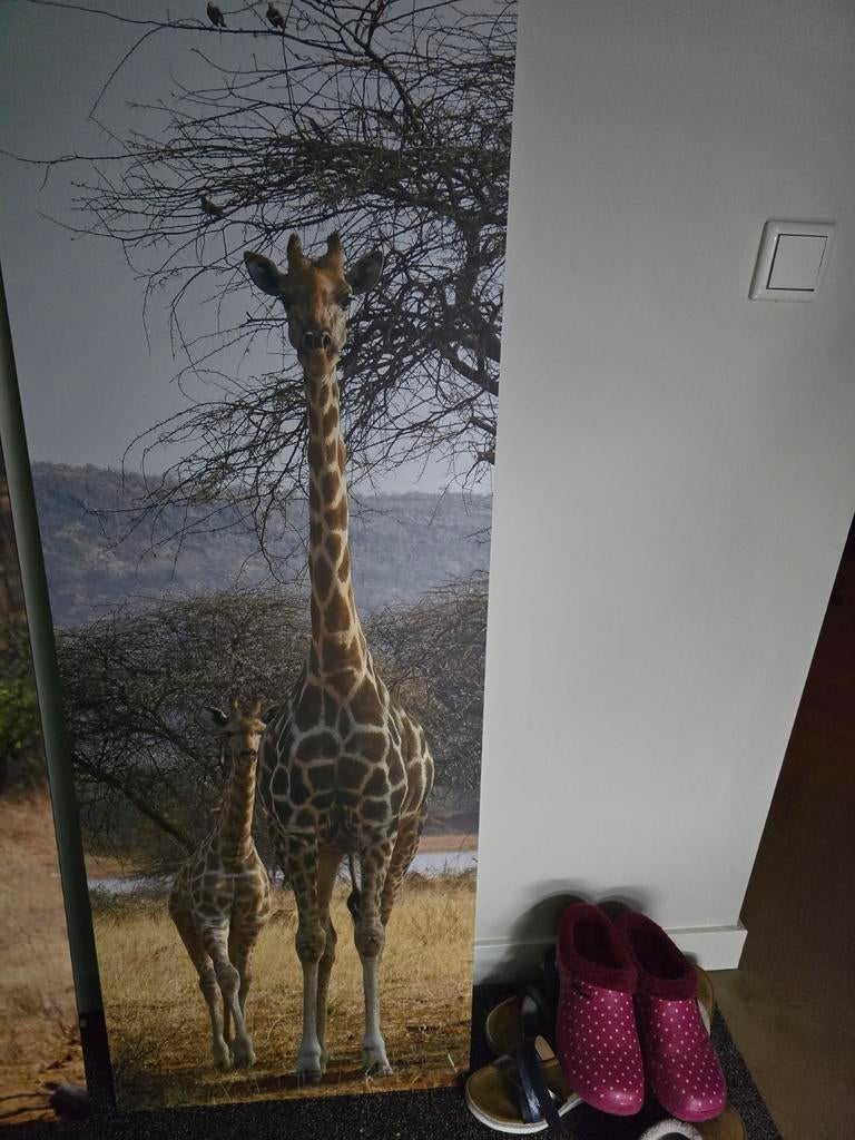 Groot wandpaneel met giraffen - Afrikaanse safari, Gebruikt, Hout, Meerkleurig, Ophalen of Verzenden