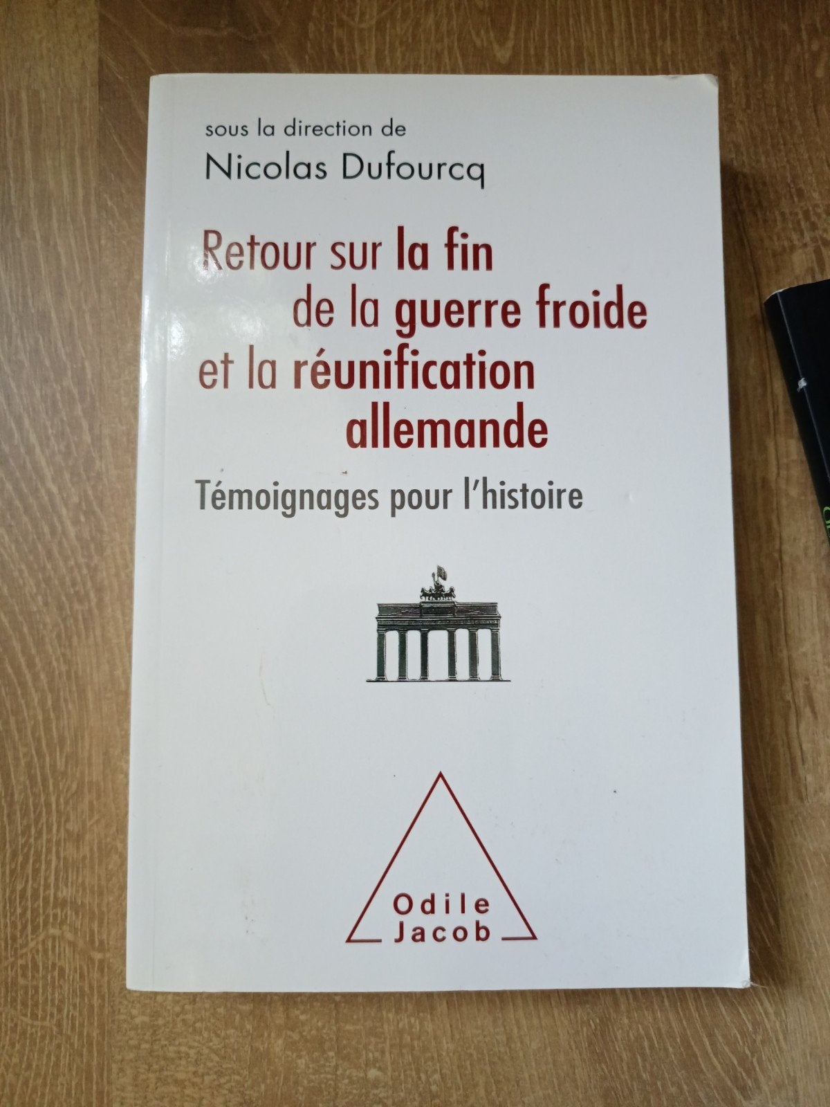 Retour sur la fin de la guerre froide et la réunification al, Boeken, 20e eeuw of later, Europa, Ophalen of Verzenden, Zo goed als nieuw