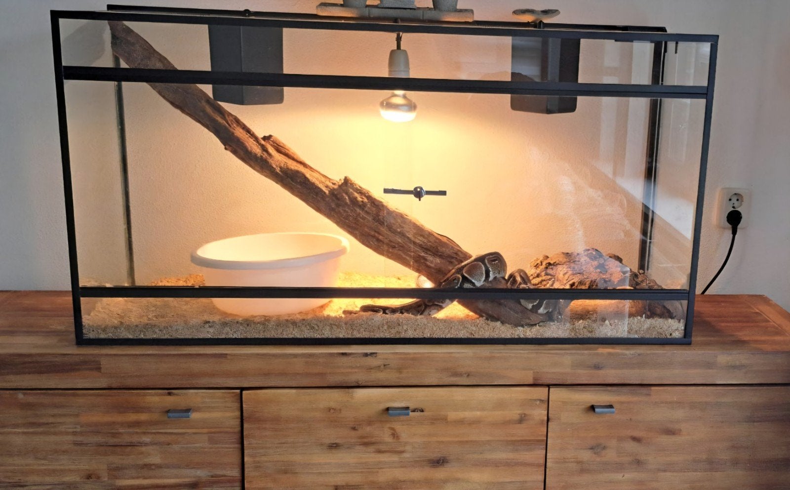 Glazen terrarium 120,5 x 41,5 x 61,5 cm met schuifdeuren, Dieren en Toebehoren, Ophalen, Zo goed als nieuw, Terrarium of Paludarium