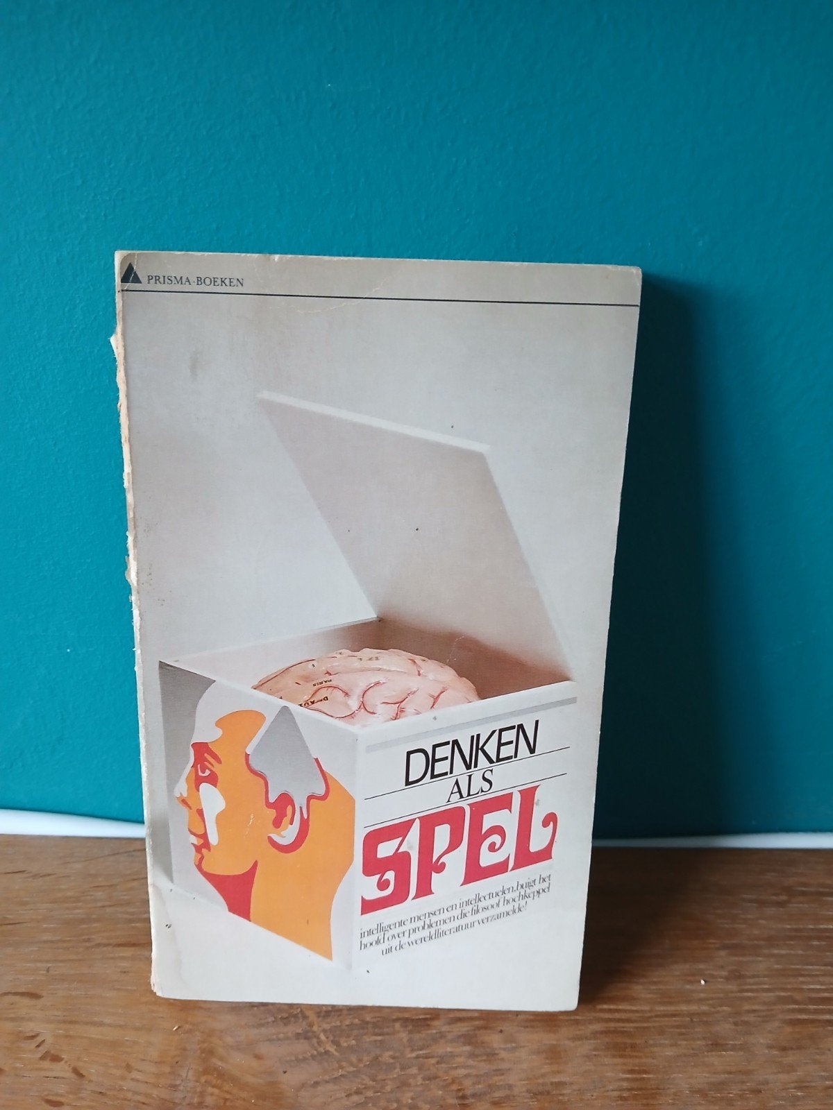 denken als spel - willy hochkeppel, Ophalen of Verzenden