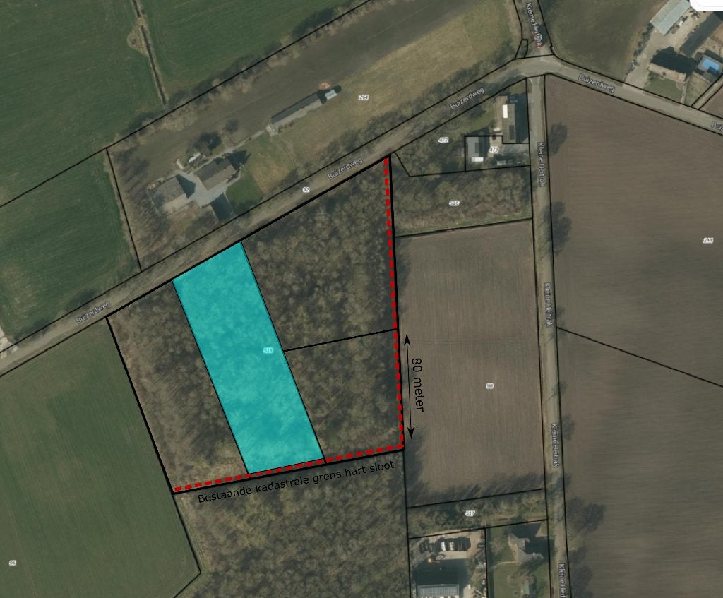 Bosgrond in Asten - omgeving Eindhoven, Asten, 1500 m² of meer