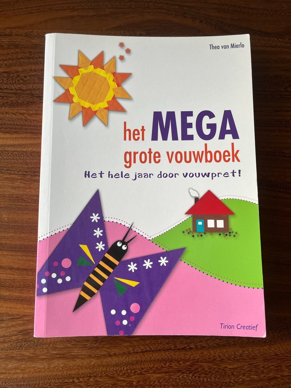 Het MEGA Grote Vouwboek - Thea van Mierlo, Boeken, Ophalen of Verzenden, Zo goed als nieuw, Scrapbooking en Knutselen, Geschikt voor kinderen
