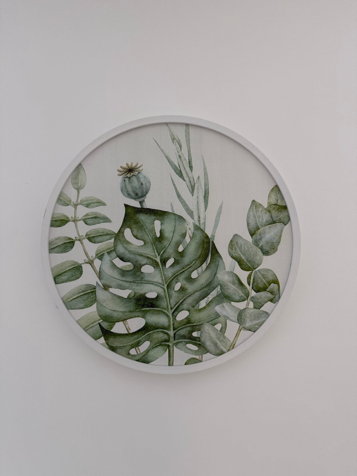 Houten wanddecoratie met botanische print, Ophalen, Groen, Hout, Zo goed als nieuw