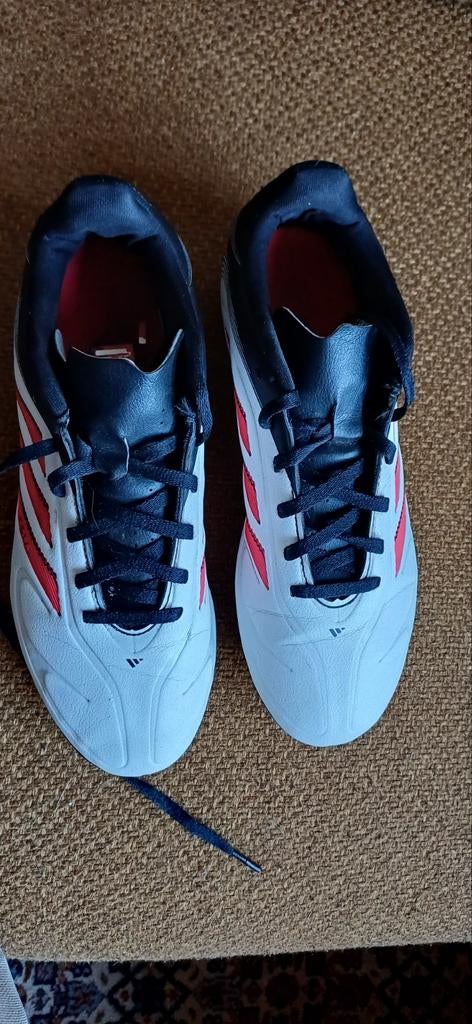Adidas Copa voetbalschoenen maat 38, Maat XS of kleiner, Ophalen, Zo goed als nieuw, Schoenen