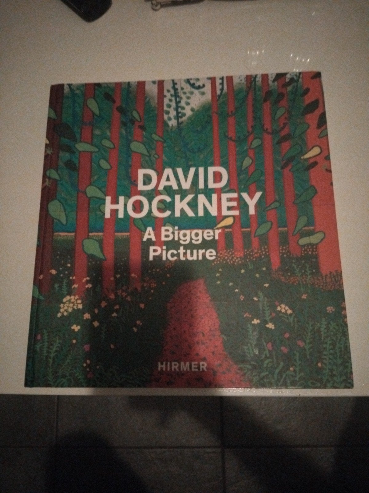 David Hockney: A Bigger Picture - Kunstboek Museum Ludwig, Ophalen of Verzenden, Zo goed als nieuw, David hockney