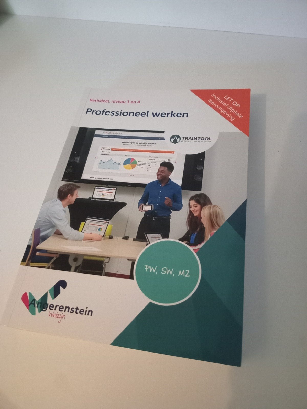 Professioneel werken - Basisdeel niveau 3 en 4, Boeken, Ophalen of Verzenden, Zo goed als nieuw, MBO, Angerenstein Welzijn