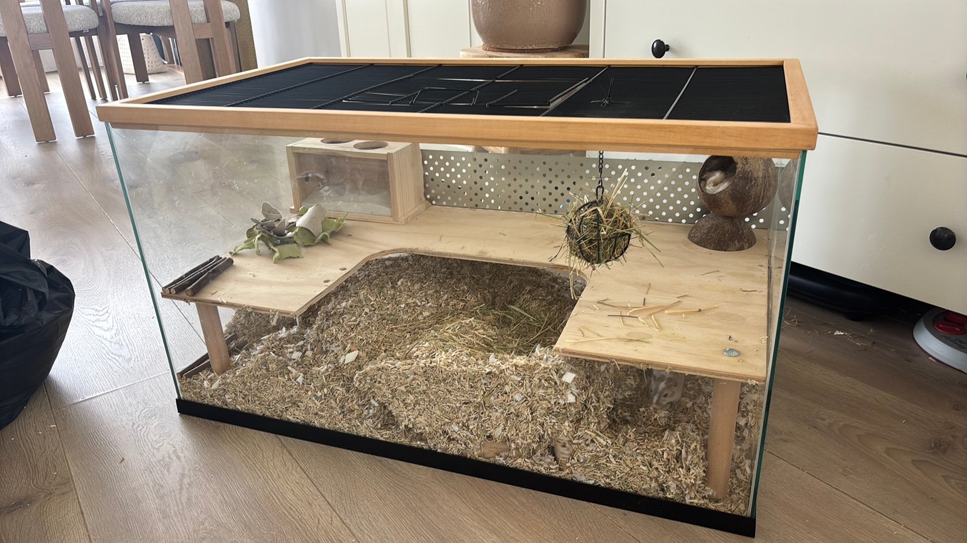 2 lieve tamme vrouwelijke gerbils + verblijf 80 cm, Dieren en Toebehoren, Kooi, Hamster, Zo goed als nieuw, 75 tot 110 cm