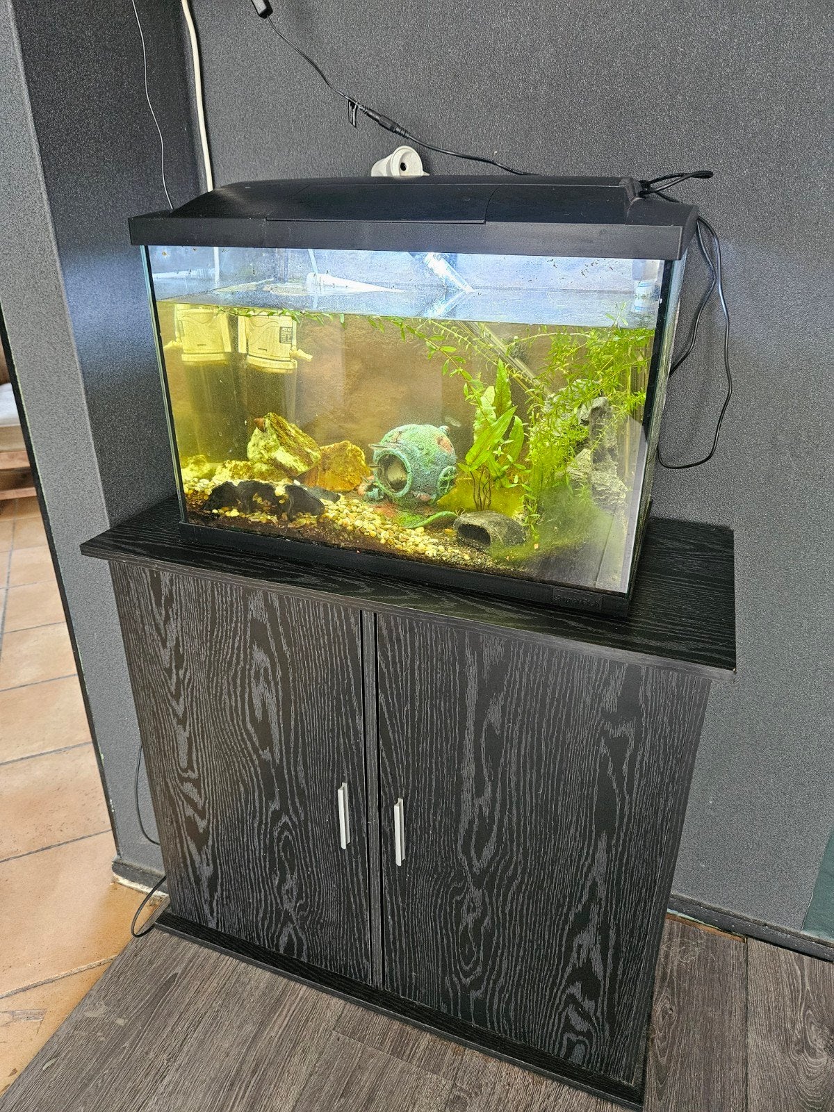 SuperFish Start 70 compleet aquarium + onderkast + vissen, Ophalen, Superfish, Inclusief vissen, Gevuld zoetwateraquarium