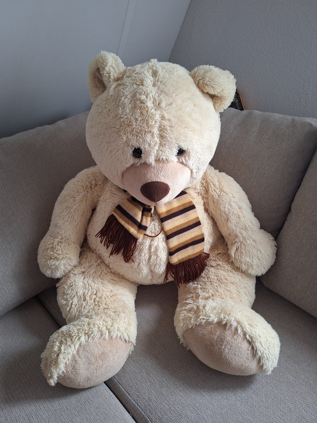 teddiebeer groot, Ophalen of Verzenden, Overige typen