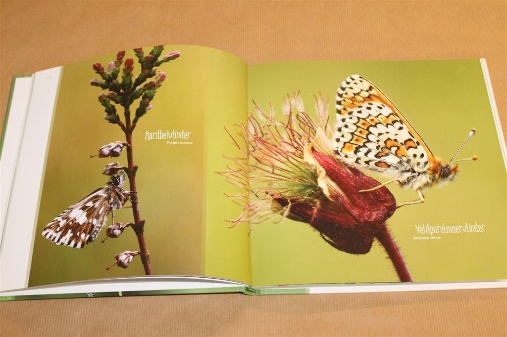 Vlinders in Nederland [Informatief Fotoboek PostNL], Ophalen of Verzenden, Zo goed als nieuw, Overige diersoorten