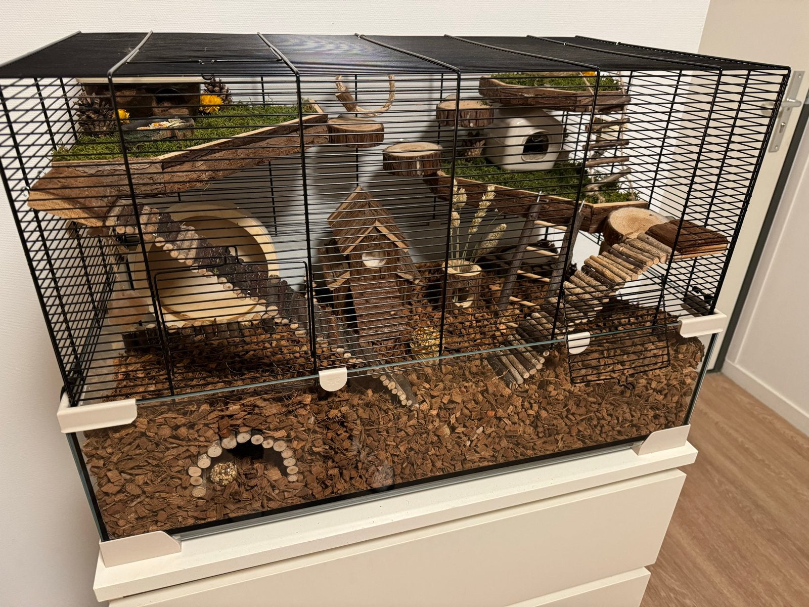 Hamsterkooi volledig ingericht - Ferplast Karat 80, Kooi, Hamster, 75 tot 110 cm, Ophalen