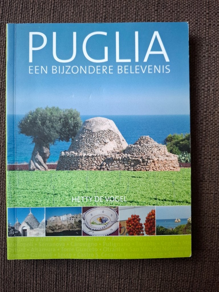Puglia: Een Bijzondere Belevenis - Reisgids Hetty de Vogel, Europa, Ophalen of Verzenden, Reisgids of -boek, Gelezen