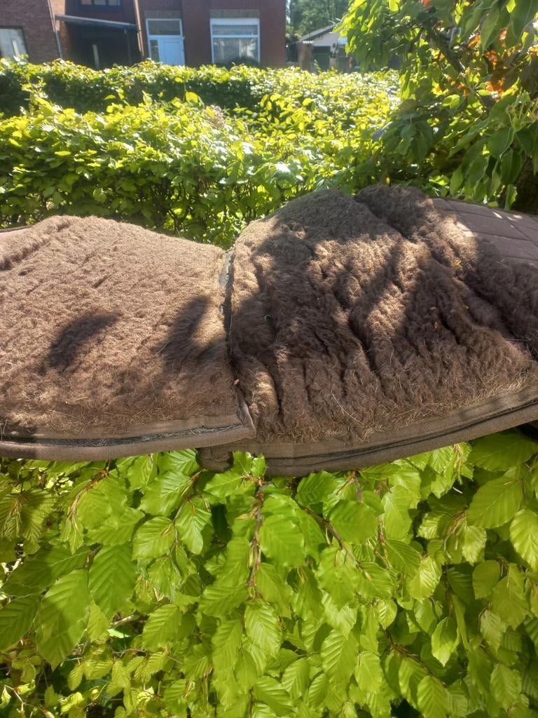 Dressuur Edix pad, Ophalen of Verzenden, Gebruikt, Dressuur