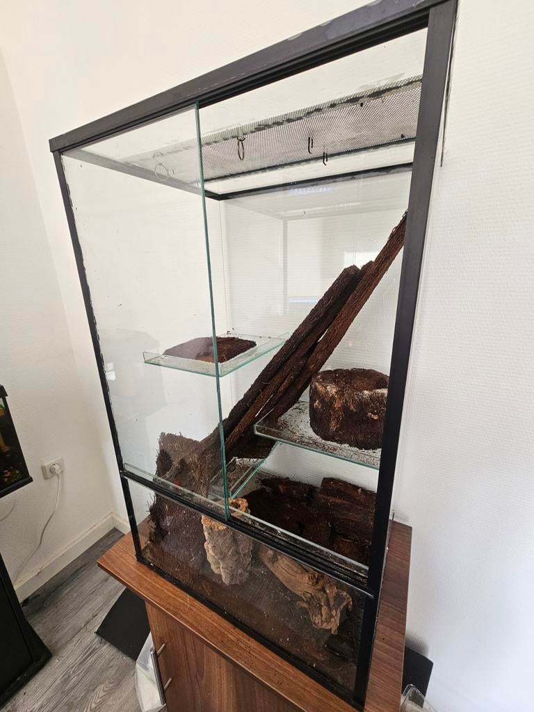 Paludarium, Ophalen