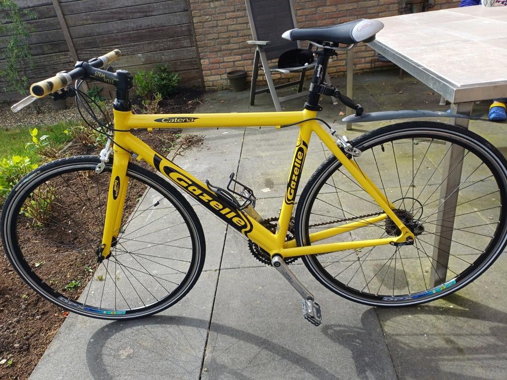 Gazelle Catena Jubileum Uitvoering - Goed Onderhouden, Fietsen en Brommers, Ophalen of Verzenden, Zo goed als nieuw, Gazelle, Versnellingen