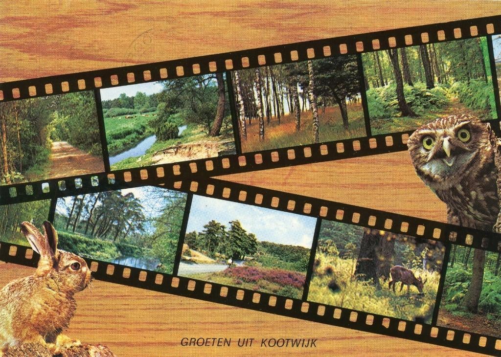 KOOTWIJK Landschappen Bos Heide Konijn Uil Groeten, Verzenden, 1980 tot heden, Gelopen, Gelderland