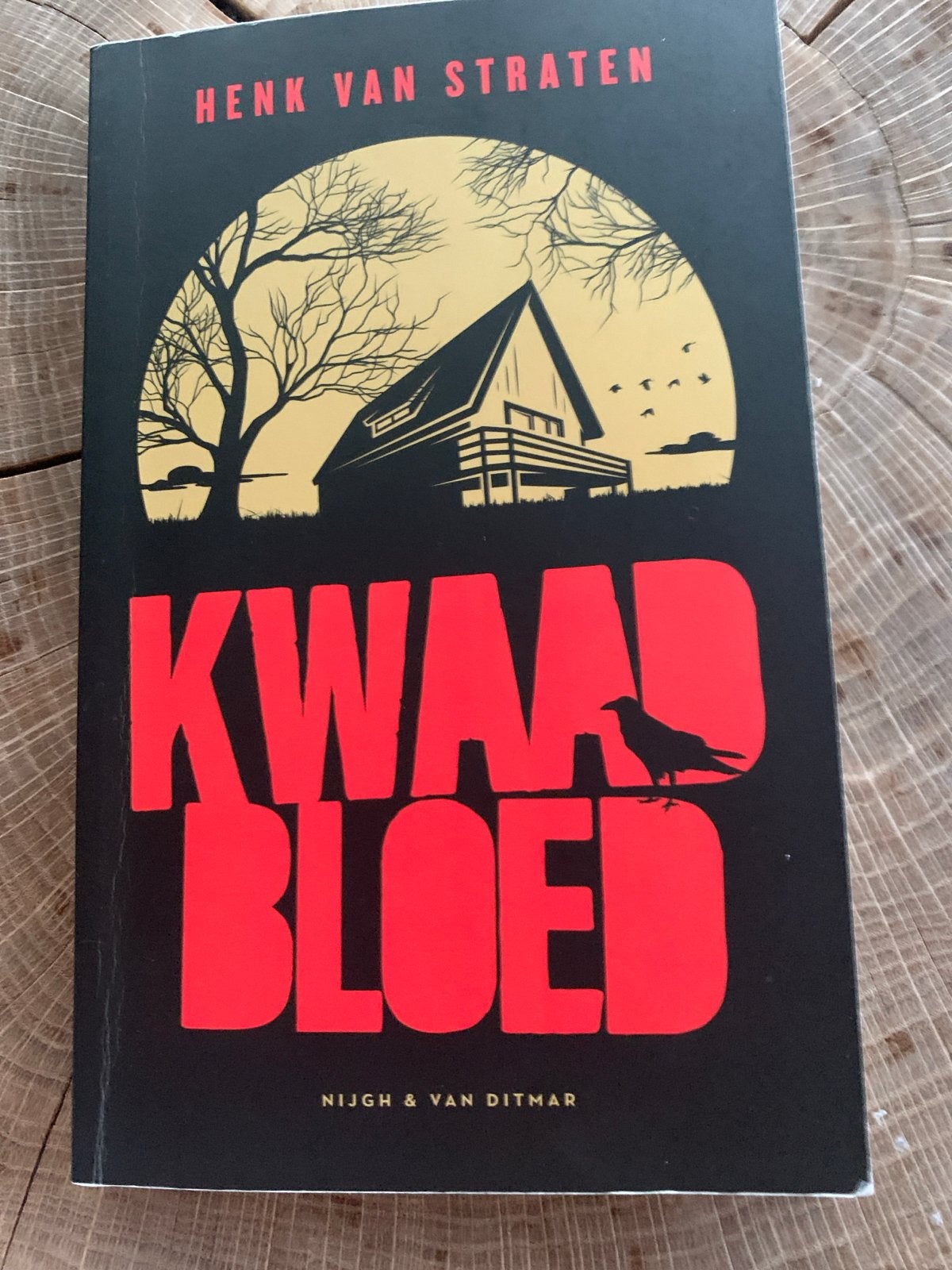 Kwaad Bloed - Henk van Straten (Thriller), Ophalen of Verzenden, Zo goed als nieuw, Nederland