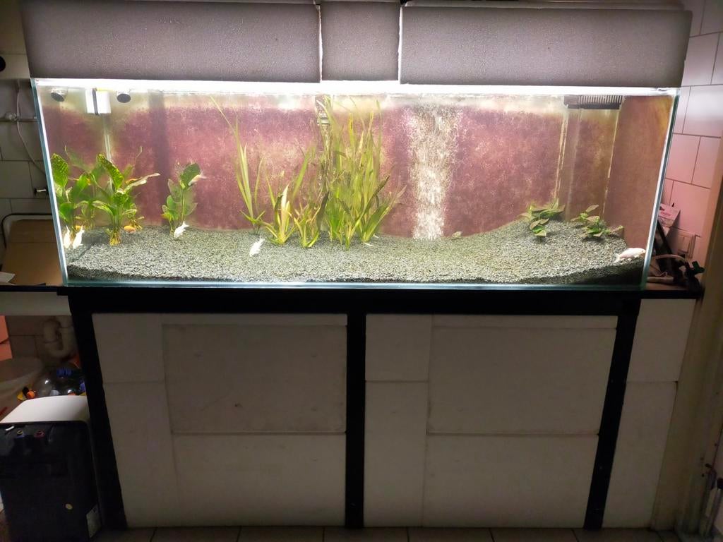 Aquarium 180*60*60, Dieren en Toebehoren, Vissen | Aquaria en Toebehoren, Ophalen, Leeg aquarium