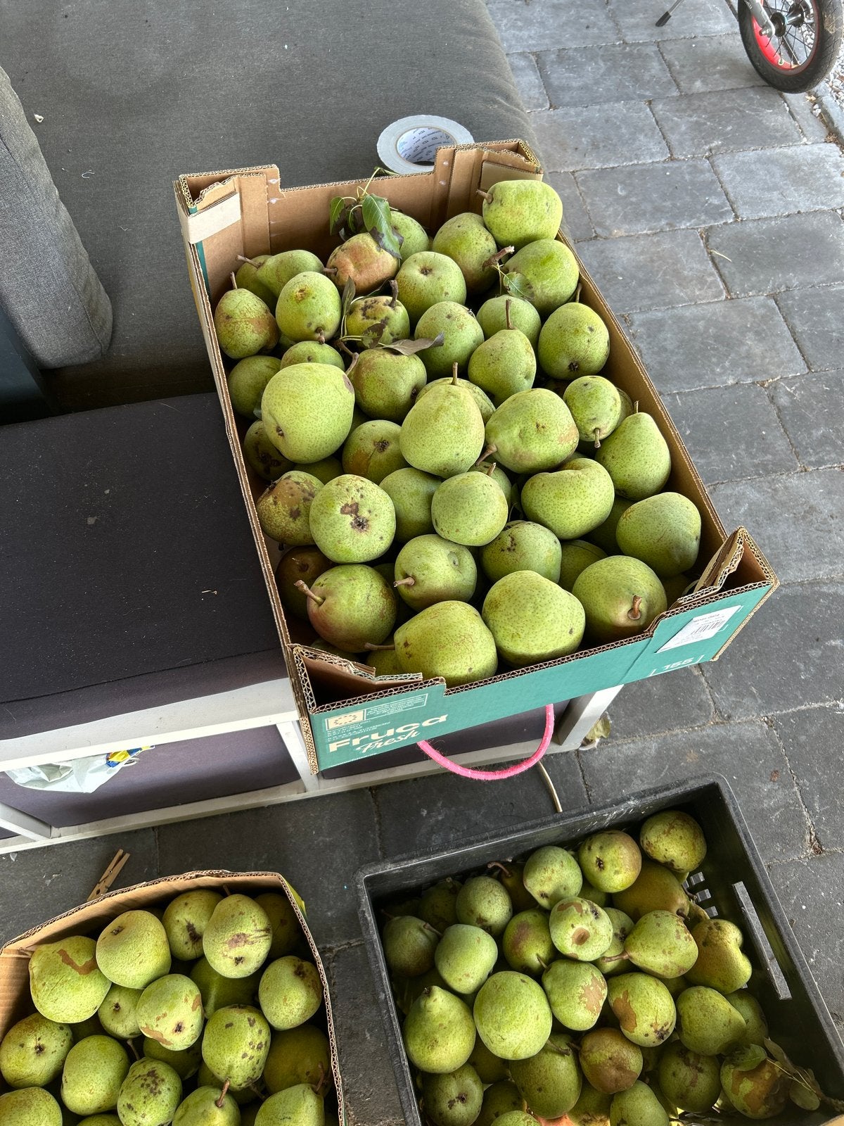 Stoofperen Saint Remy - €1 per kilo, alleen afhalen, Ophalen