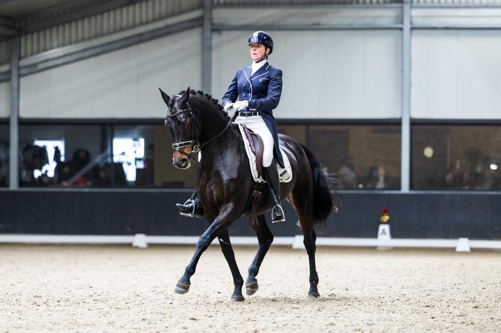 Plek voor trainingspaard / wedstrijdpaard / training, Weidegang, 2 of 3 paarden of pony's