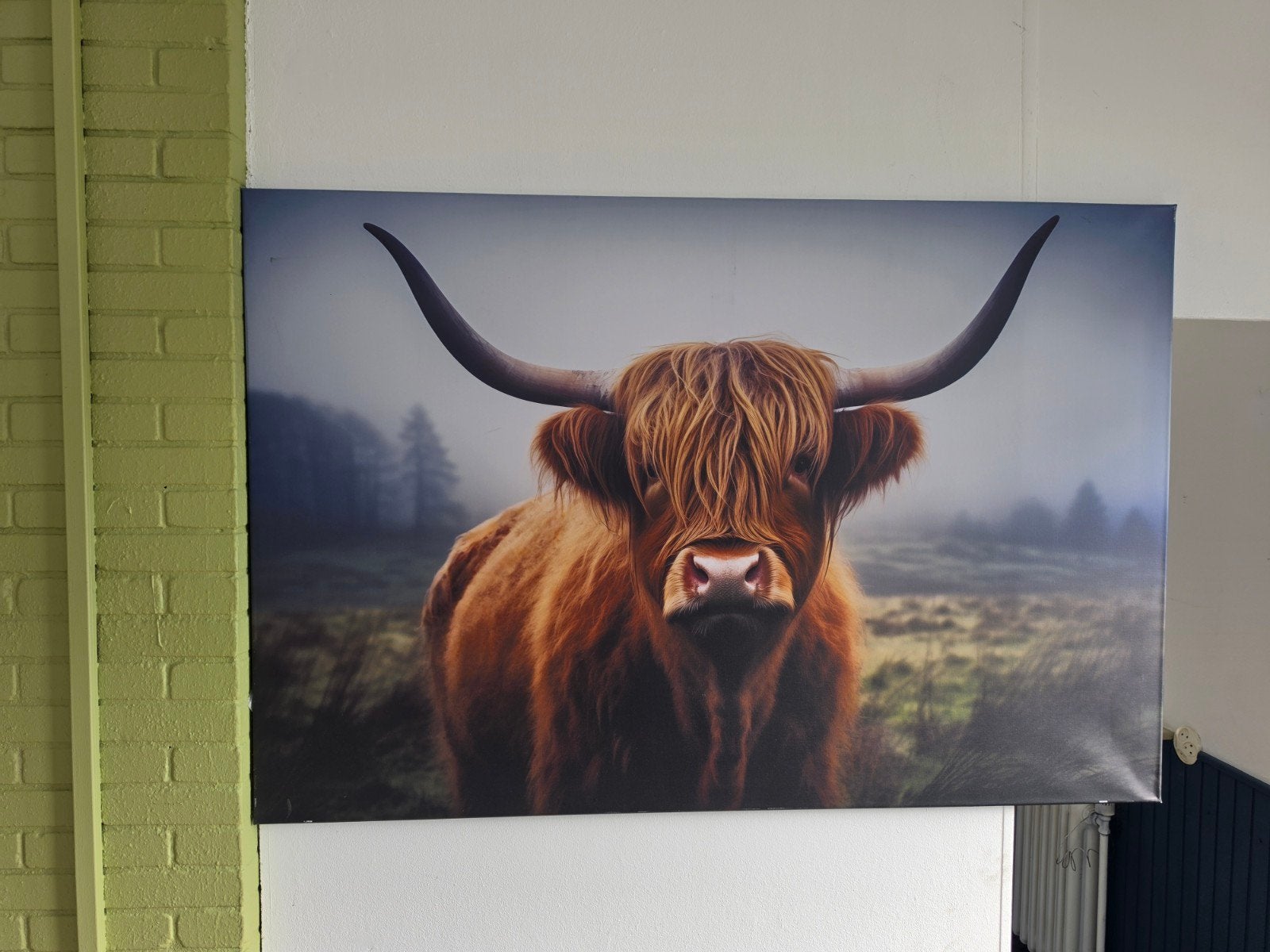 Schilderij Schotse Hooglander - Canvas, 50 – 75, Ophalen of Verzenden, Zo goed als nieuw, Schilderij