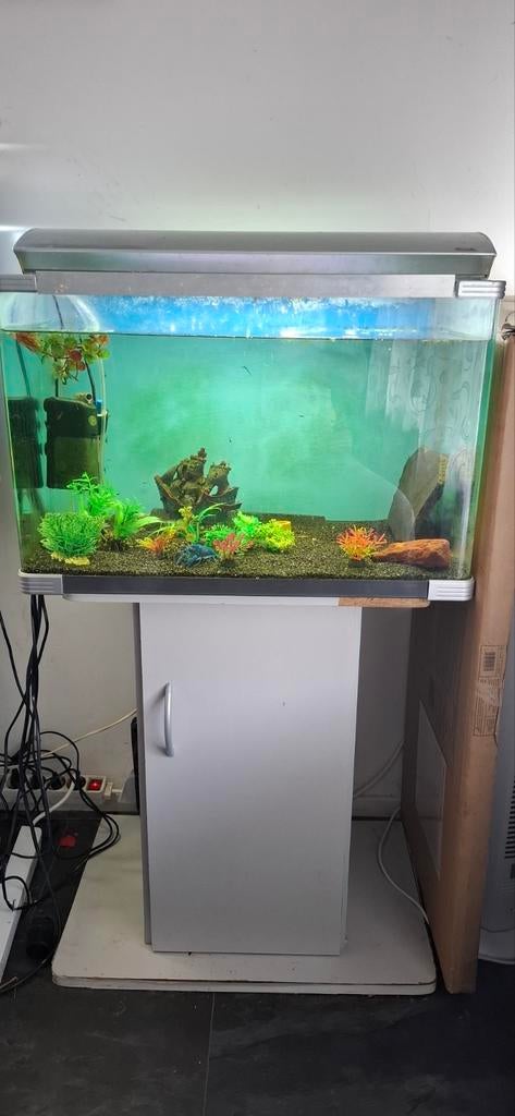 (Zee) aquarium  ronde hoeken .59 breed bij 39 hoog, Dieren en Toebehoren, Vissen | Aquaria en Toebehoren, Ophalen, Inclusief toebehoren