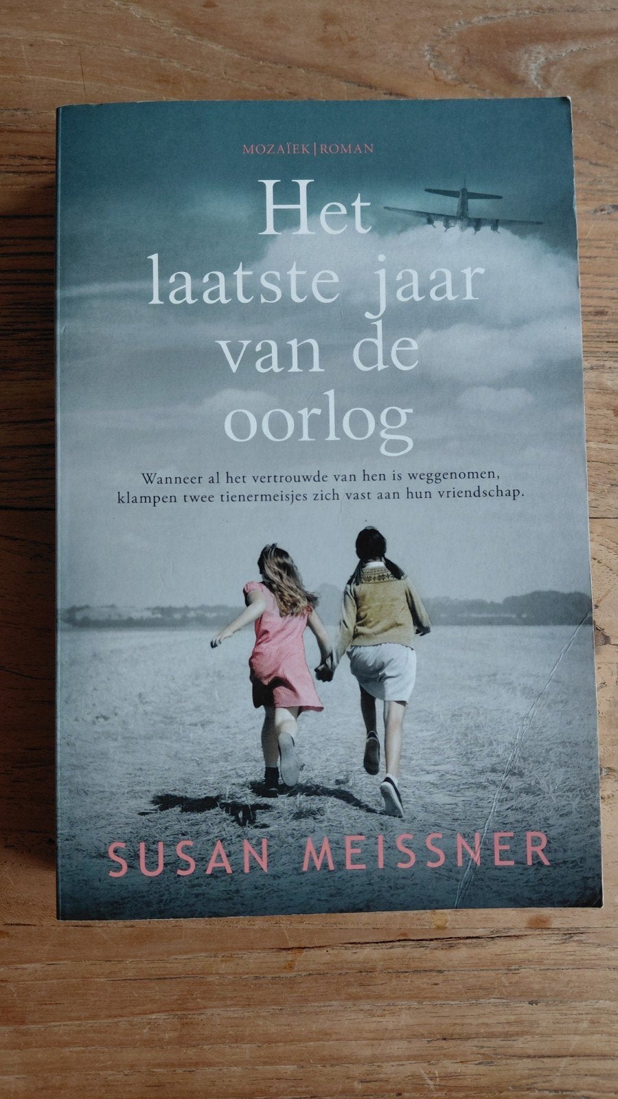 Het laatste jaar van de oorlog - Susan Meissner, Boeken, Gelezen, Susan Meissner, Ophalen of Verzenden, Amerika