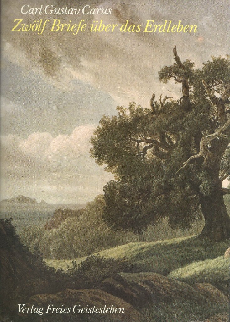 Carl Gustav Carus 2x, Gelezen, Ophalen of Verzenden, Ekkehard Meffert & Carl Carus, Schilder- en Tekenkunst