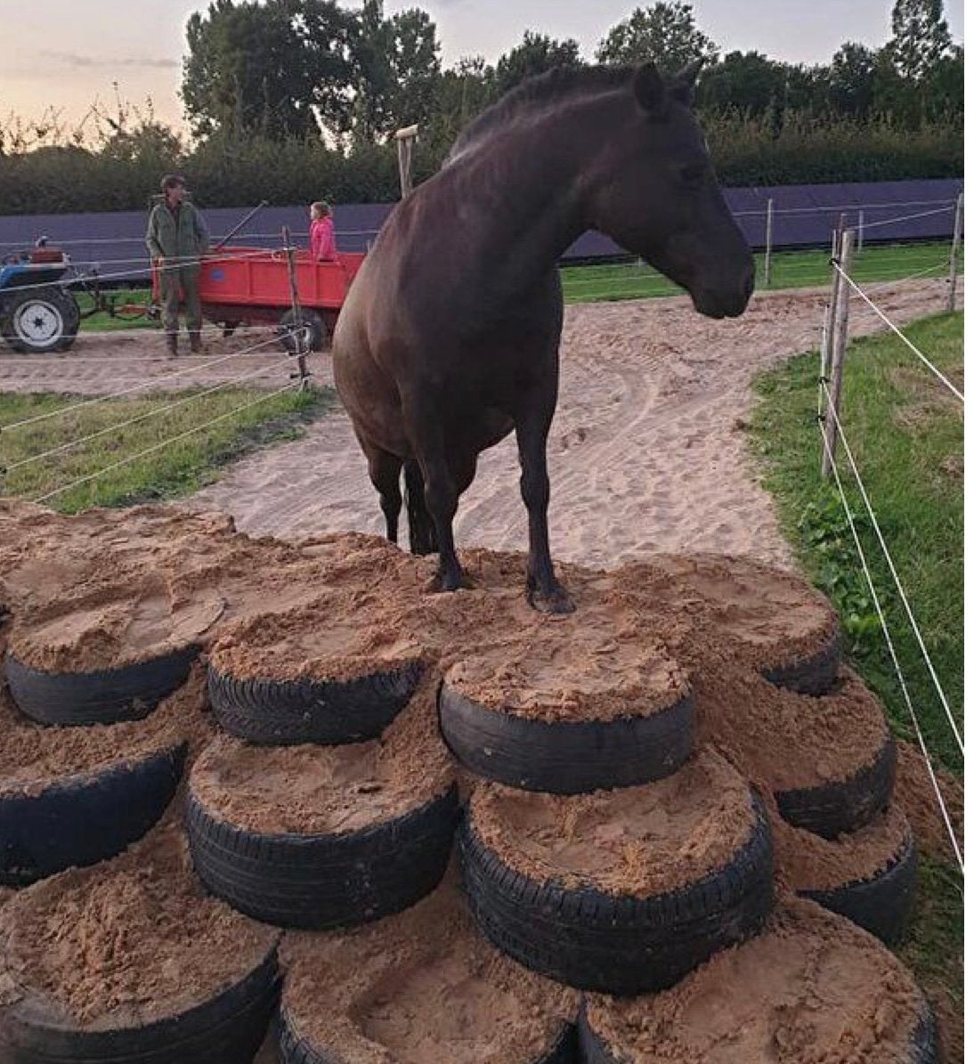 Autobanden, paard, Dieren en Toebehoren, Ophalen