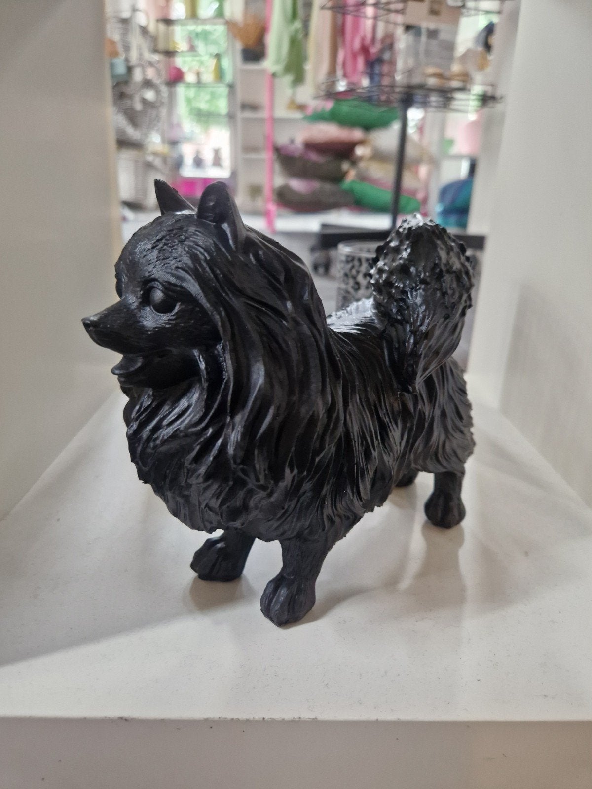 Sale Pomeriaan zwart nieuw, Nieuw, Kunststof, Ophalen of Verzenden, X